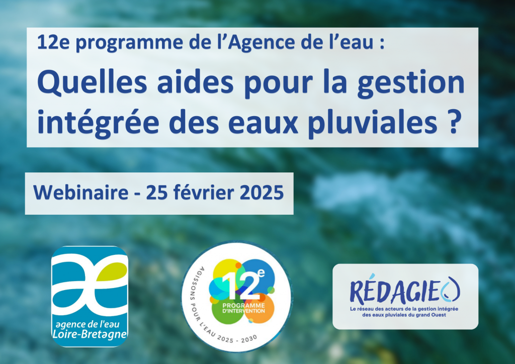 Webinaire : quelles aides de l’Agence de l’eau pour la gestion intégrée des eaux pluviales ?